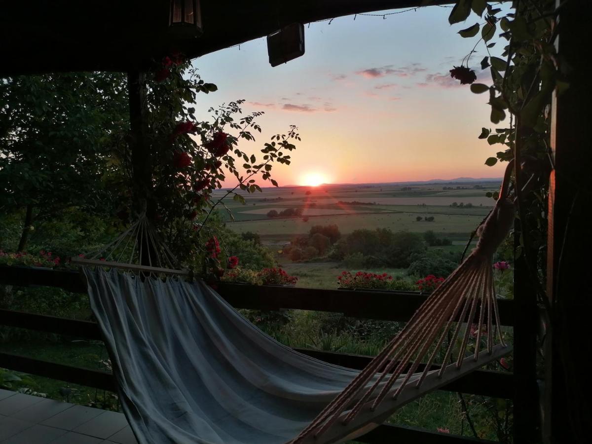 Baranja Black Hill'S Gajic Экстерьер фото