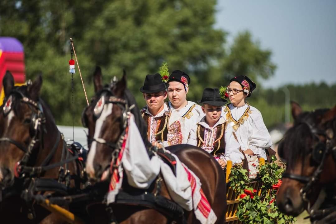Baranja Black Hill'S Gajic Экстерьер фото